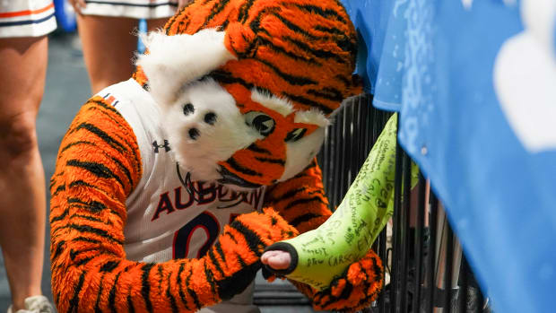 Auburn Tiger